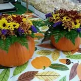 Spoth's Farm Market photo
