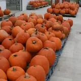 Spoth's Farm Market photo