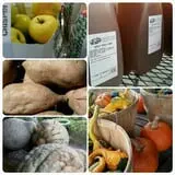 Spoth's Farm Market photo