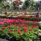 Spoth's Farm Market photo
