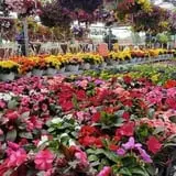 Spoth's Farm Market photo