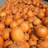 Spoth's Farm Market photo