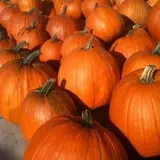 Spoth's Farm Market photo
