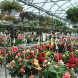 Spoth's Farm Market photo