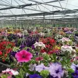 Spoth's Farm Market photo