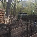 Camp Tuckabatchee Haunted Camp photo