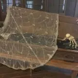 Camp Tuckabatchee Haunted Camp photo
