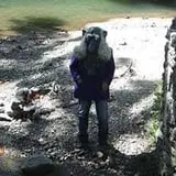 Camp Tuckabatchee Haunted Camp photo