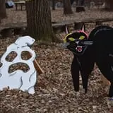 Camp Tuckabatchee Haunted Camp photo