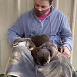 Debbie Dolittle's Indoor Petting Zoo photo