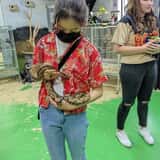 Debbie Dolittle's Indoor Petting Zoo photo