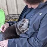 Debbie Dolittle's Indoor Petting Zoo photo