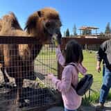 Debbie Dolittle's Indoor Petting Zoo photo