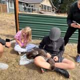 Debbie Dolittle's Indoor Petting Zoo photo