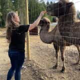 Debbie Dolittle's Indoor Petting Zoo photo