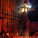 The Haunt on Hickory Street photo
