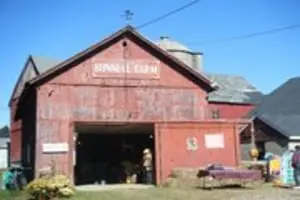 Bunnell Farm Corn Maze & Pumpkin Patch