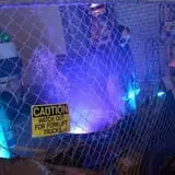 Nightmare Haunted House photo