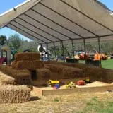 Conine's Country Market photo