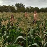 Conine's Country Market photo