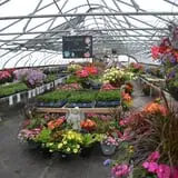 Conine's Country Market photo