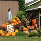 Conine's Country Market photo