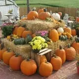 Conine's Country Market photo