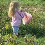 Conine's Country Market photo