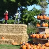 Conine's Country Market photo
