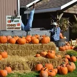 Conine's Country Market photo