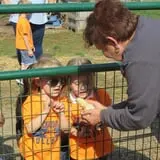 Conine's Country Market photo