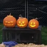 Nightfear Haunted House photo
