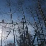 SpringLake Campground Haunted House & Haunted Forest photo