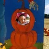 Boyd's Pumpkin Patch and Corn Maze photo