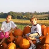 Boyd's Pumpkin Patch and Corn Maze photo
