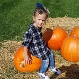 Boyd's Pumpkin Patch and Corn Maze photo