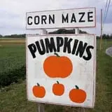 Boyd's Pumpkin Patch and Corn Maze photo