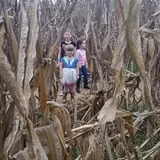 Boyd's Pumpkin Patch and Corn Maze photo