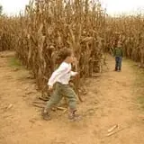 Boyd's Pumpkin Patch and Corn Maze photo