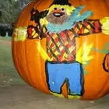 Boyd's Pumpkin Patch and Corn Maze photo