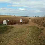Boyd's Pumpkin Patch and Corn Maze photo