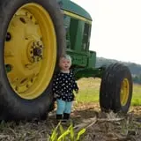 Boyd's Pumpkin Patch and Corn Maze photo