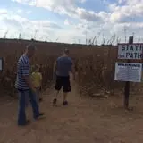 Boyd's Pumpkin Patch and Corn Maze photo