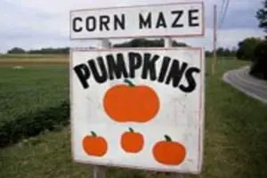 Boyd's Pumpkin Patch and Corn Maze