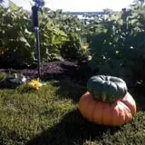 Prairie Home Farm photo