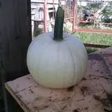Prairie Home Farm photo