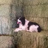 Prairie Home Farm photo
