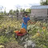 Prairie Home Farm photo