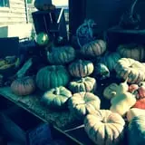 Prairie Home Farm photo