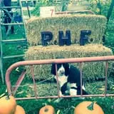 Prairie Home Farm photo